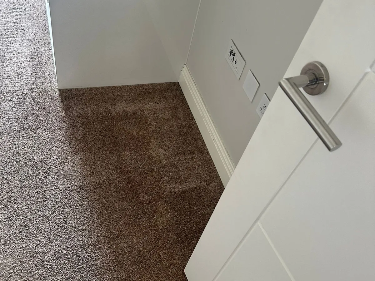 Carpet clean after
